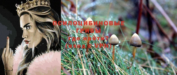 прущие крисы Пестово