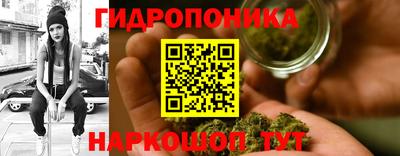 гидропоника Заволжье
