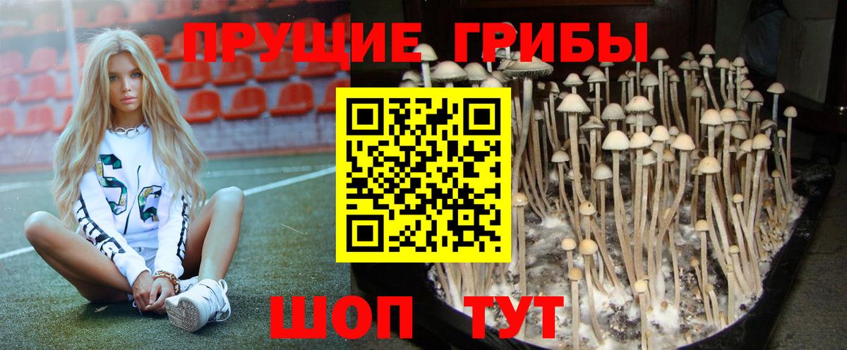 Псилоцибиновые грибы Cubensis Советский